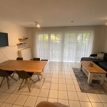 Kranich 36 青斯特