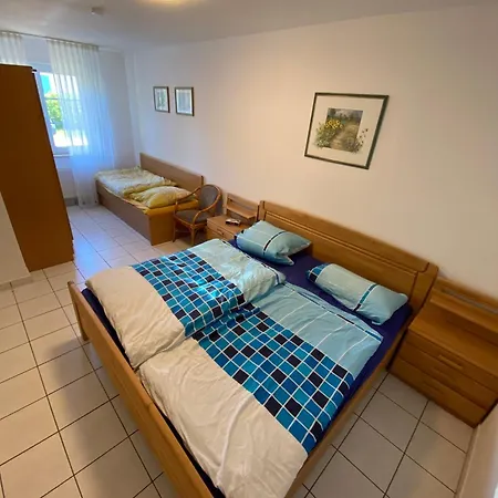 Kranich 36 * 青斯特