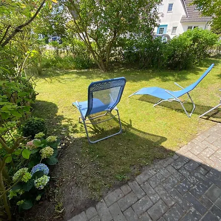 Kranich 36 *