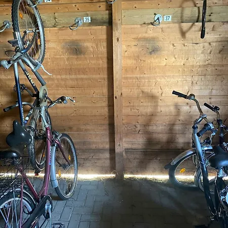 Kranich 36 * Zingst